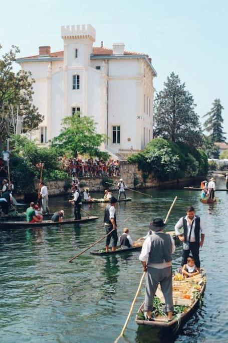 Chez Franck Et Gisele LʼIsle-sur-la-Sorgue Exterior foto